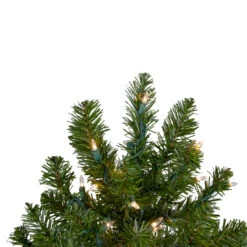 2' Pre-Lit Medium Canadian Pine Artificial Christmas Tree - Clear Lights -Beauty Wreaths Shop northlight v15846 2updated 49675.1667534208