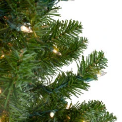 2' Pre-Lit Medium Canadian Pine Artificial Christmas Tree - Clear Lights -Beauty Wreaths Shop northlight v15846 3updated 97693.1667534207