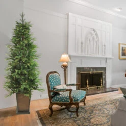 6' Pre-Lit Potted Oregon Noble Fir Slim Artificial Christmas Tree - Warm White LED Lights -Beauty Wreaths Shop northlight v15850 3 95661.1667519988