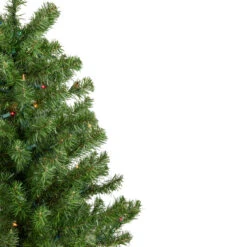 5' Pre-Lit Medium Canadian Pine Artificial Christmas Tree - Multicolor Lights 11 5' Pre-Lit Medium Canadian Pine Artificial Christmas Tree - Multicolor Lights -Beauty Wreaths Shop northlight v15853 3new 91991.1667580399