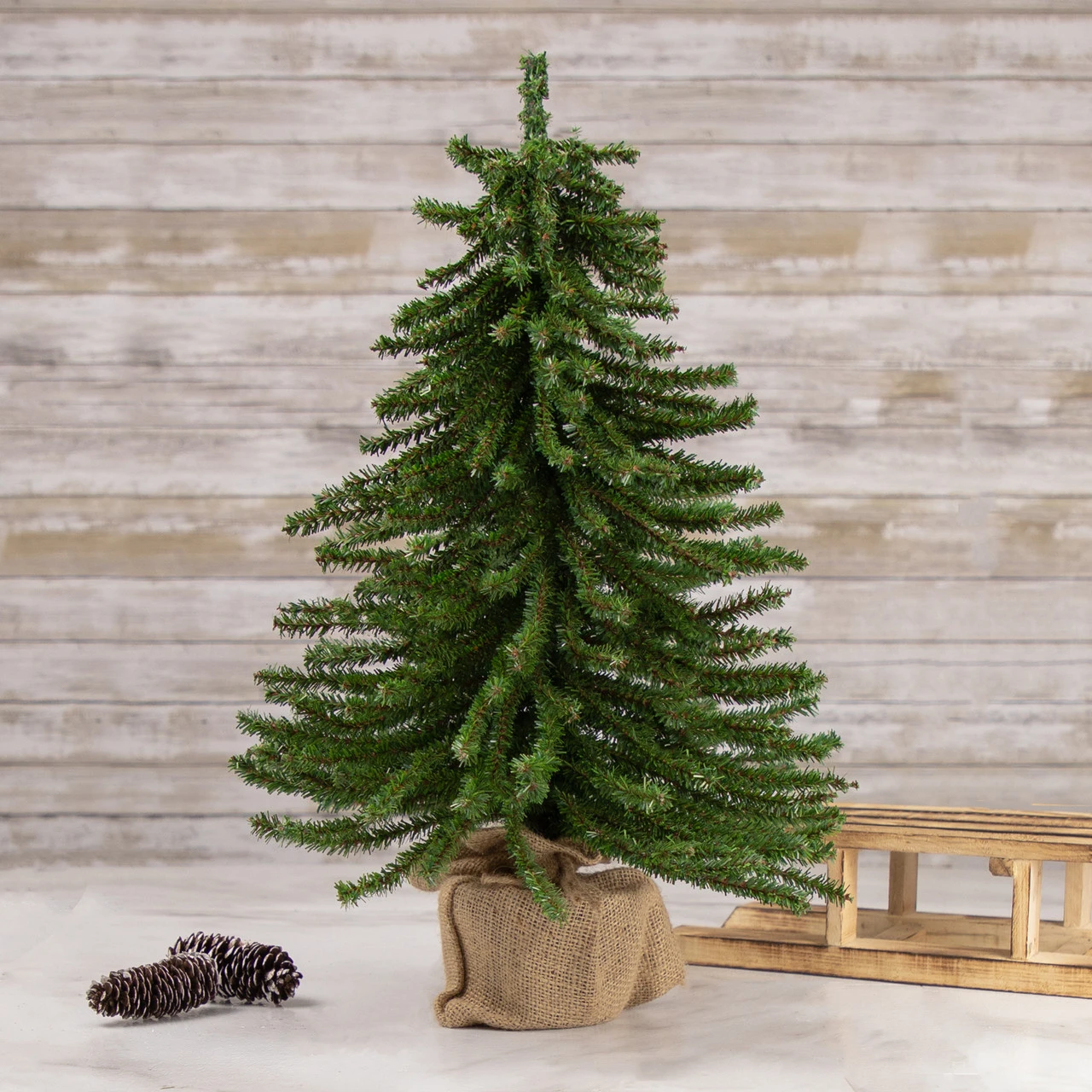 2' Potted Downswept Mini Village Pine Medium Artificial Christmas Tree, Unlit 4 2' Potted Downswept Mini Village Pine Medium Artificial Christmas Tree, Unlit - Image 2