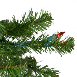 6.5' Pre-Lit Canadian Pine Artificial Pencil Christmas Tree - Multi Lights 11 6.5' Pre-Lit Canadian Pine Artificial Pencil Christmas Tree - Multi Lights -Beauty Wreaths Shop northlight v27348 3 45138.1667659715