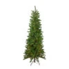 6.5' Pre-Lit Canadian Pine Artificial Pencil Christmas Tree - Multi Lights