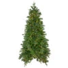 6.5' Pre-Lit Rosemary Emerald Angel Pine Artificial Christmas Tree - Warm White LED Lights -Beauty Wreaths Shop northlight v27351 58984.1667530600