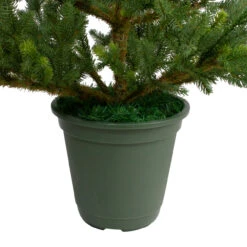 6' Potted Noble Pine Slim Artificial Christmas Tree - Unlit -Beauty Wreaths Shop northlight v27377 3 71103.1667656738