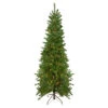 6.5' Pre-Lit Canadian Pine Artificial Pencil Christmas Tree - Clear Lights -Beauty Wreaths Shop northlight v27380 96081.1667659713