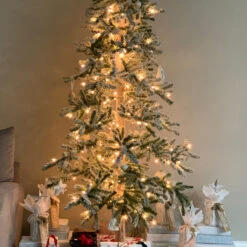 7' Pre-Lit Pencil Flocked Alpine Artificial Christmas Tree - Clear Lights -Beauty Wreaths Shop northlight v27443 cxpic 75082.1676305836