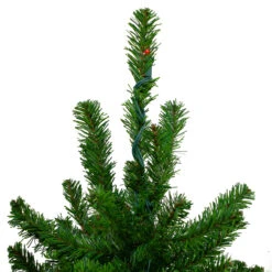 Set Of 3 Pre-Lit Slim Alpine Artificial Christmas Trees 6' - Multi Lights -Beauty Wreaths Shop northlight v27451 3 34150.1667578058