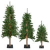 Set Of 3 Pre-Lit Slim Alpine Artificial Christmas Trees 5' - Multicolor Lights -Beauty Wreaths Shop northlight v27451 updart 28973.1667578066