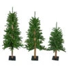 Set Of 3 Alpine Artificial Christmas Trees 4', 5' And 6' - Unlit -Beauty Wreaths Shop northlight v27452 updarte 50559.1667533899