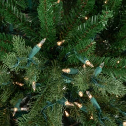 6' Pre-Lit Grande Spruce Artificial Christmas Tree, Clear Lights -Beauty Wreaths Shop northlight v94169 3 39624.1674058101