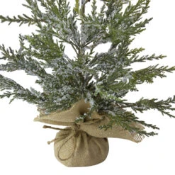 2' Potted Iced Cedar Pine Medium Artificial Christmas Tree - Unlit -Beauty Wreaths Shop northlight vm26566 1 21644.1667572678