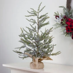 2' Potted Iced Cedar Pine Medium Artificial Christmas Tree - Unlit -Beauty Wreaths Shop northlight vm26566 5 89028.1667572677