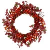 Red Berries Artificial Christmas Wreath - 24-Inch, Unlit -Beauty Wreaths Shop northlight vm89286 62371.1667530460