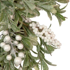 Artificial Christmas Wreath With Frosted Foliage And Berries, 20-Inch, Unlit -Beauty Wreaths Shop northlight yk93231 3 08022.1667530199