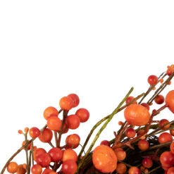 Red And Orange Berries With Mini Pumpkins Fall Harvest Wreath, 20-Inch, Unlit -Beauty Wreaths Shop northlight yk93251 3 77979.1667554468
