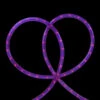18' Pre Lit Purple Incandescent Outdoor Christmas Rope Lights -Beauty Wreaths Shop northlight ys27514 19668.1667574534