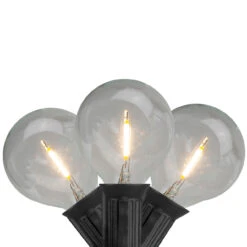 20ct Warm White LED G50 Globe Patio Lights, 20ft Black Wire