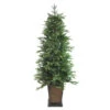 6' Pre-Lit Potted Oregon Noble Fir Slim Artificial Christmas Tree - Warm White LED Lights -Beauty Wreaths Shop northlight ytp006 gr 02618.1667519986
