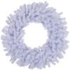 24" White Crystal Spruce Artificial Christmas Wreath - Unlit -Beauty Wreaths Shop northlight z00018 1 35221.1671643764