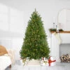 6.5' Pre-Lit Full Northern Pine Artificial Christmas Tree - Warm Clear LED Lights -Beauty Wreaths Shop northlight z35727 1 updated 63867.1667578334
