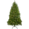 7.5' Pre-Lit Green Medium Northern Pine Artificial Christmas Tree - Warm Clear LED Lights -Beauty Wreaths Shop northlight z35727 1 updated 76725.1667536520