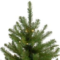 4' Pre-Lit Full Northern Pine Artificial Christmas Tree - Warm Clear LED Lights 8 4' Pre-Lit Full Northern Pine Artificial Christmas Tree - Warm Clear LED Lights -Beauty Wreaths Shop northlight z35727 3 updated 98743.1667578333