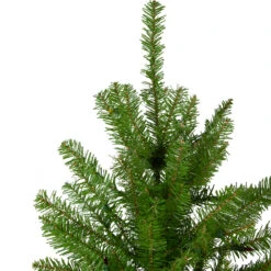 6.5' Northern Pine Full Artificial Christmas Tree, Unlit 10 6.5' Northern Pine Full Artificial Christmas Tree, Unlit -Beauty Wreaths Shop northlight z84652 2 57516.1684419790