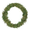 Pre-Lit Northern Pine Artificial Christmas Wreath - 48-Inch, Clear Lights -Beauty Wreaths Shop northlight z84671 29936.1667533619