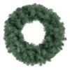 Colorado Blue Spruce Artificial Christmas Wreath, 24-Inch, Unlit -Beauty Wreaths Shop northlight z94016 newest 55455.1667528423