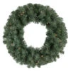 Pre-lit Colorado Blue Spruce Artificial Christmas Wreath, 24-Inch, Clear Lights -Beauty Wreaths Shop northlight z94017 newest 62455.1668190455