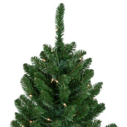 15' Pre-Lit Genoa Fraser Fir Slim Artificial Christmas Tree, Clear Lights -Beauty Wreaths Shop northlight z94044 2 99582.1667530992