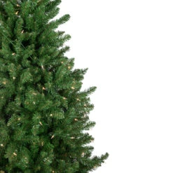 15' Pre-Lit Genoa Fraser Fir Slim Artificial Christmas Tree, Clear Lights -Beauty Wreaths Shop northlight z94044 3 19250.1667530991
