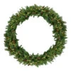 Pre-Lit Dakota Red Pine Commercial Artificial Christmas Wreath - 60-Inch, Warm White LED Lights -Beauty Wreaths Shop northlight z99439 39786.1667530688