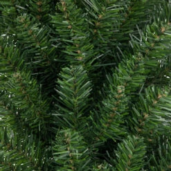 36" Buffalo Fir Rectangular Artificial Christmas Wreath - Unlit -Beauty Wreaths Shop northlight z99749 3 66875.1671129357