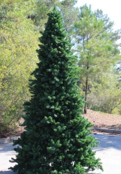 26’ Pre-Lit Giant Olympia Pine CommercialArtificial Tower Christmas Tree - Warm White LED Lights -Beauty Wreaths Shop olympiaframetree3 10717.1680153258