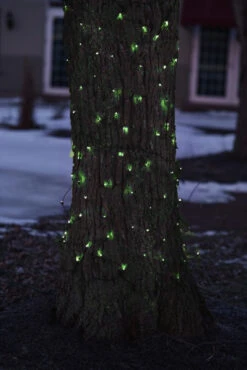 2' X 8' Green Mini Net Style Tree Trunk Wrap Christmas Lights - Brown Wire 7 2' X 8' Green Mini Net Style Tree Trunk Wrap Christmas Lights - Brown Wire -Beauty Wreaths Shop otl6zebqvm9pyyglmvq3ngp25i2gehoc 35 2 56823.1667659139