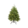 4' Pre-Lit Full Northern Pine Artificial Christmas Tree - Warm Clear LED Lights -Beauty Wreaths Shop qrqb1pw62w6oqyuj8qtdkeq9tivnq9fs 71117.1667578333