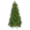 7.5' Pre-Lit Rosemary Emerald Angel Pine Artificial Christmas Tree - Warm White LED Lights -Beauty Wreaths Shop rosemary emerald 08854.1667530602