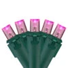 60 Pink LED Wide Angle Mini Christmas Lights - 19.5 Ft Green Wire -Beauty Wreaths Shop sienna g6244611 1 85344.1667657898
