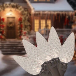 70 Warm White LED Faceted C6 Christmas Lights - 23 Ft Brown Wire -Beauty Wreaths Shop tjpxyeedfwrkhnnvv0mk56upsotbfwtf 72010.1667578273