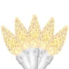 70ct Warm White Faceted LED C6 Christmas Lights, 23ft White Wire -Beauty Wreaths Shop tnfquech5n3no5zc0pt571rtaegqgv7v 23698.1681407967