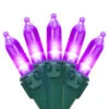 100-Count Purple LED Mini Christmas Lights, 33ft Green Wire -Beauty Wreaths Shop uenxzoidifuewkqbsib3v1ulu6lnqcw7 13319.1667489939