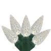 35 White LED C6 Mini Christmas Lights - 16.7 Ft Green Wire -Beauty Wreaths Shop uq2zcvjqvuwg73nrmevhxctynnwmfoat 88630.1667586203