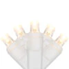 50ct Warm White LED Wide Angle Christmas Lights, 16.25ft White Wire -Beauty Wreaths Shop vpvclr4nj0wwh6qz6l7yyeaa3exvzx66 48718.1681480123
