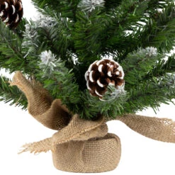 24" Frosted Norway Pine With Pine Cones Medium Artificial Christmas Tree, Unlit -Beauty Wreaths Shop wnss365hujdpa2wjvzmtionlzzxjpk1x 73351.1684955883