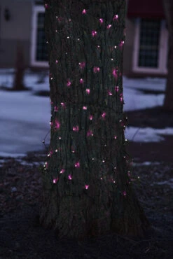 2' X 8' Pink Mini Net Style Tree Trunk Wrap Christmas Lights - Brown Wire -Beauty Wreaths Shop ylcg4t850w68hibikaa1veiyudzfoiqw 85651.1684166427